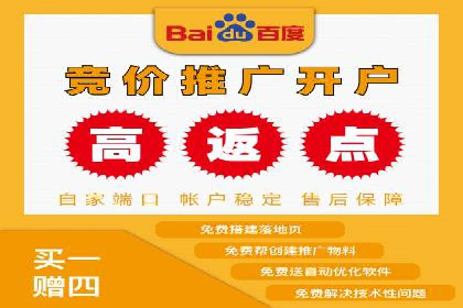 竞价排名案例：优化广告预算分配